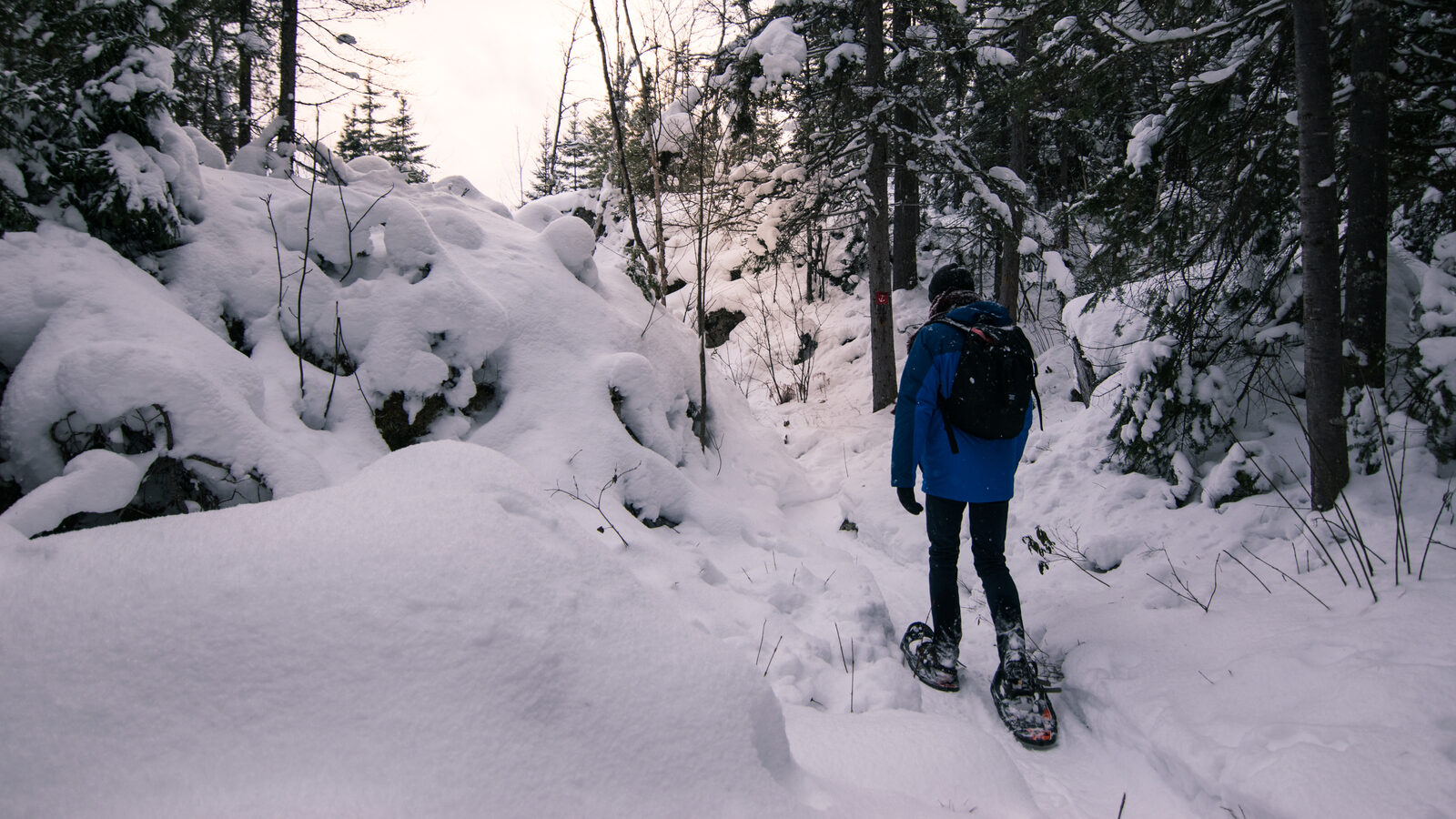 Persona caminando con raquetas de nieve por un sendero nevado